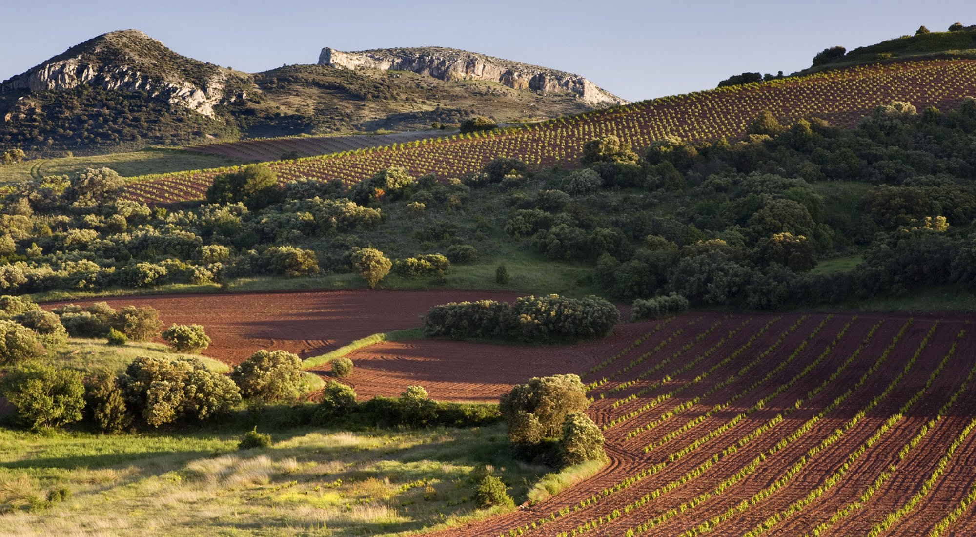 Španielske víno - vivino.sk