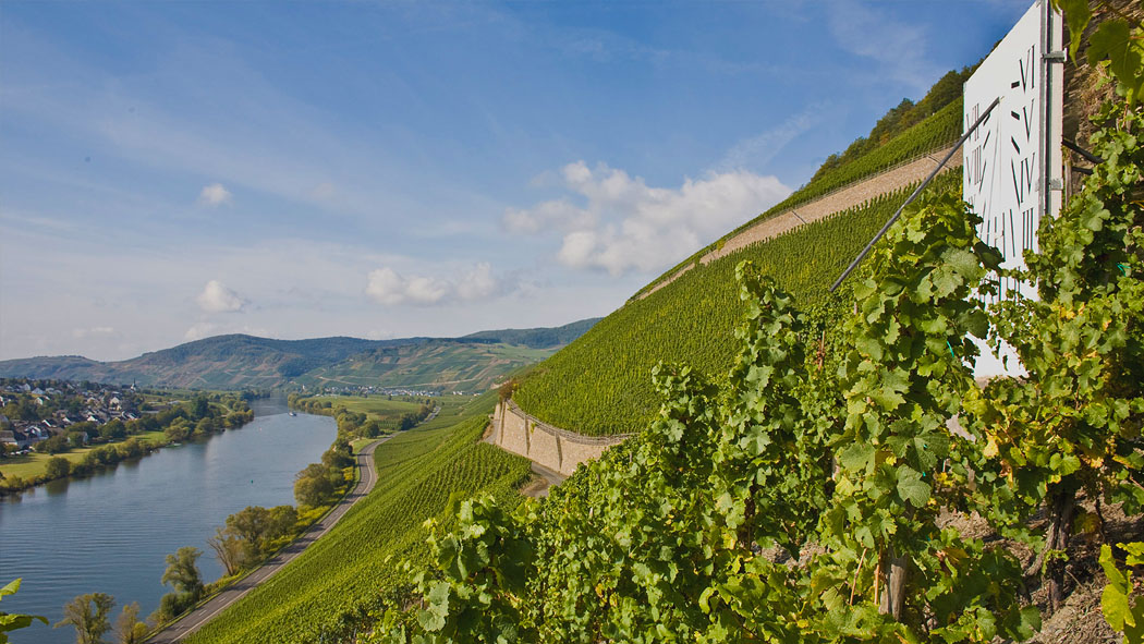 Bottler - strmé bridlicové svahy vo vinárskej oblasti Mosel
